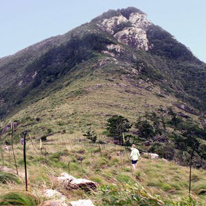 Walker on the grassy island ridge, Mosstrooper Peak, that overlooks Cateran Bay on Border Island