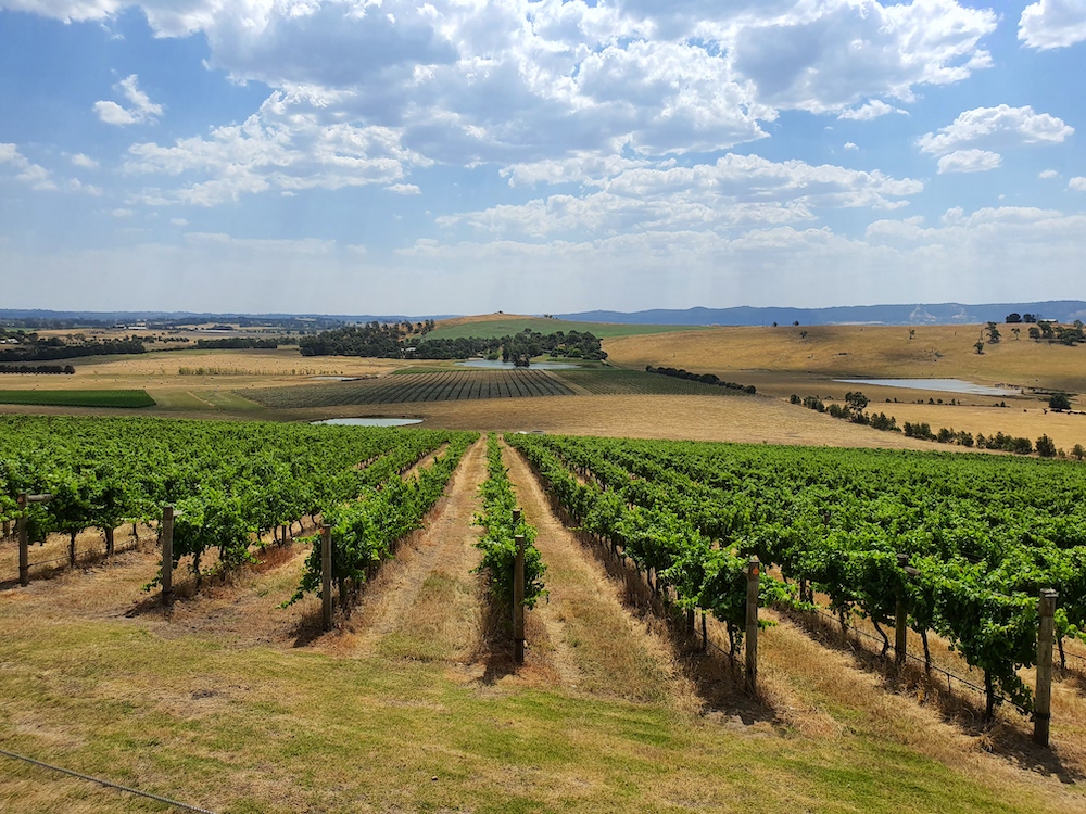 Australia Bucket List Yarra Valley Wine 