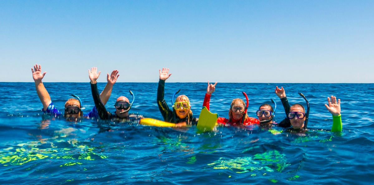 Australia Bucket List Swim with Humpback Whales