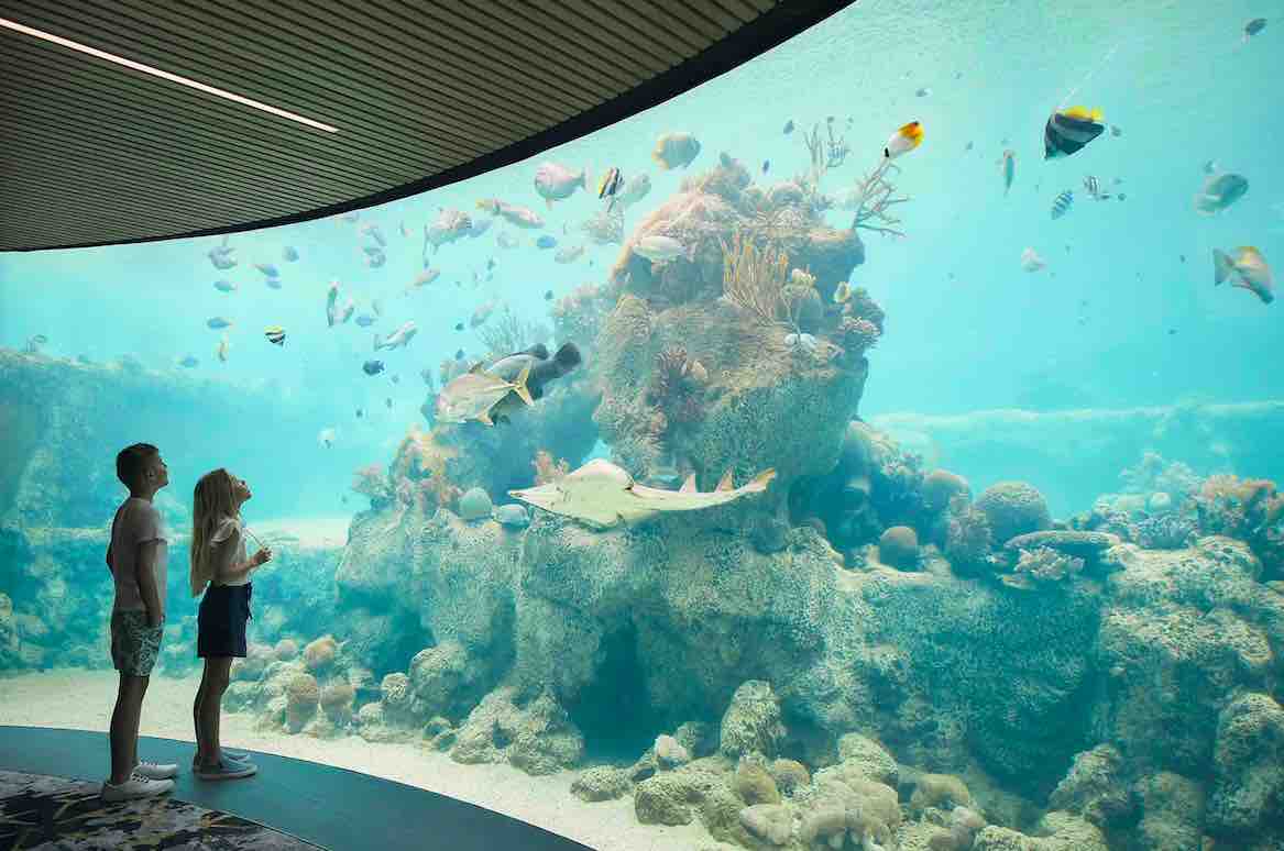 Daydream Island Reef Experience 