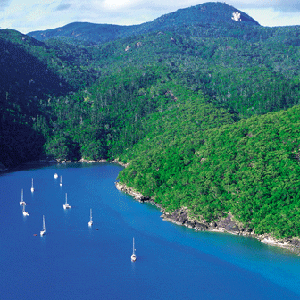 Aerial view of yachts in Nara Inlet and the surrounding lush hills of Hook Island in the Whitsundays