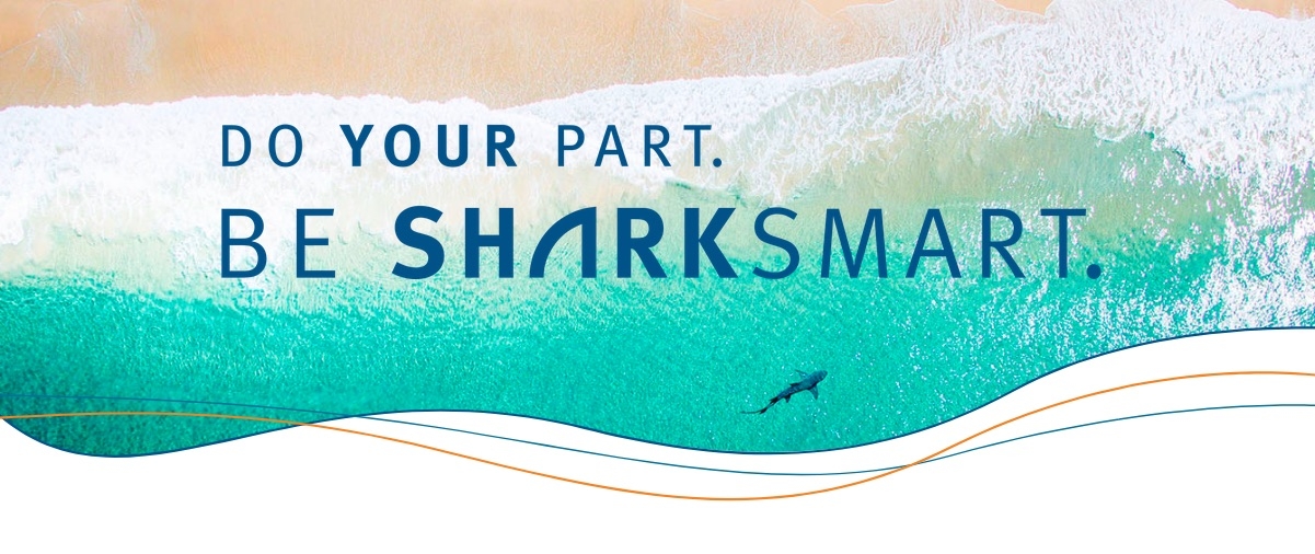 SharkSmart sharks whitsundays 