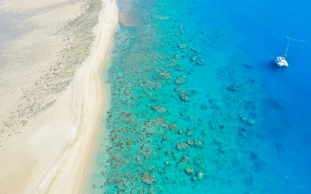 The best thing you can do for The Great Barrier Reef in 2022