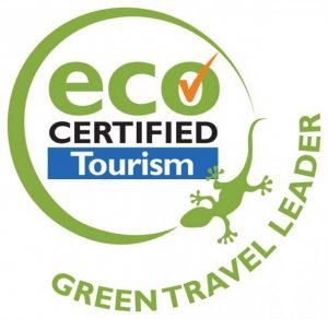 Eco Tourism Green Leader