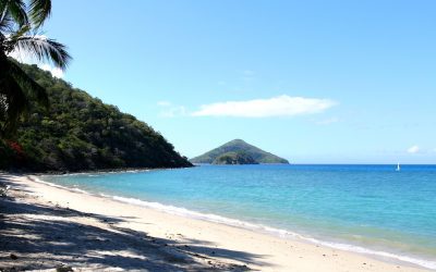 South Molle Island: A Whitsunday Paradise for Nature Lovers